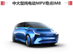 奇点汽车卖了多少辆